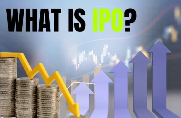 What is an IPO?
