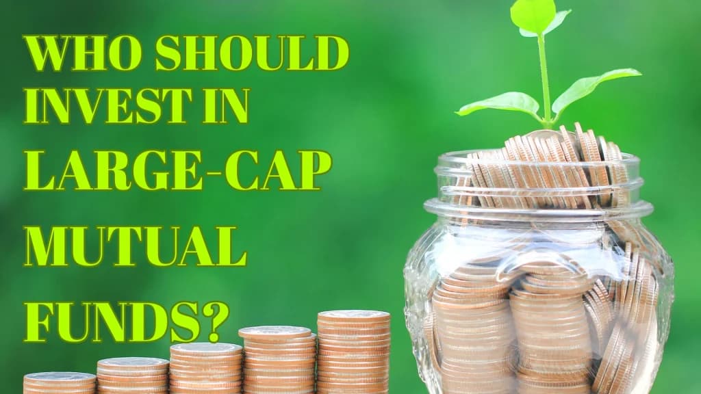 Who should invest in large cap mutual funds