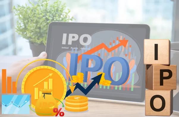 Initial Public Offering 